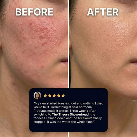 The Theory Showerhead